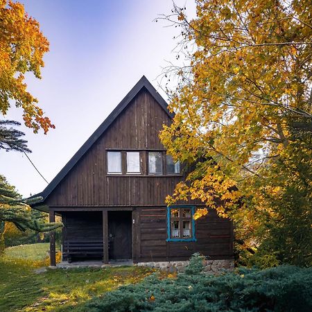 Villa Dom Pod Klonem Na Kaszubach Koscierzyna Esterno foto