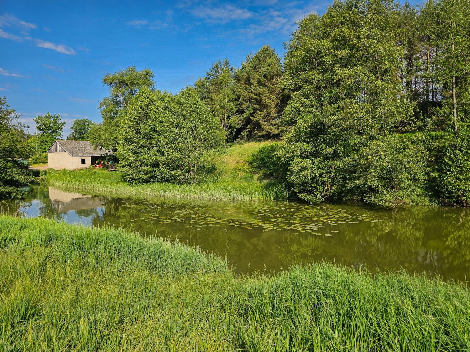 Villa Dom Pod Klonem Na Kaszubach Koscierzyna Esterno foto