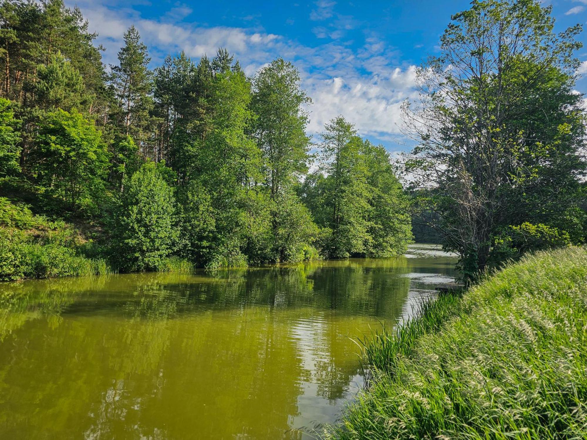 Villa Dom Pod Klonem Na Kaszubach Koscierzyna Esterno foto