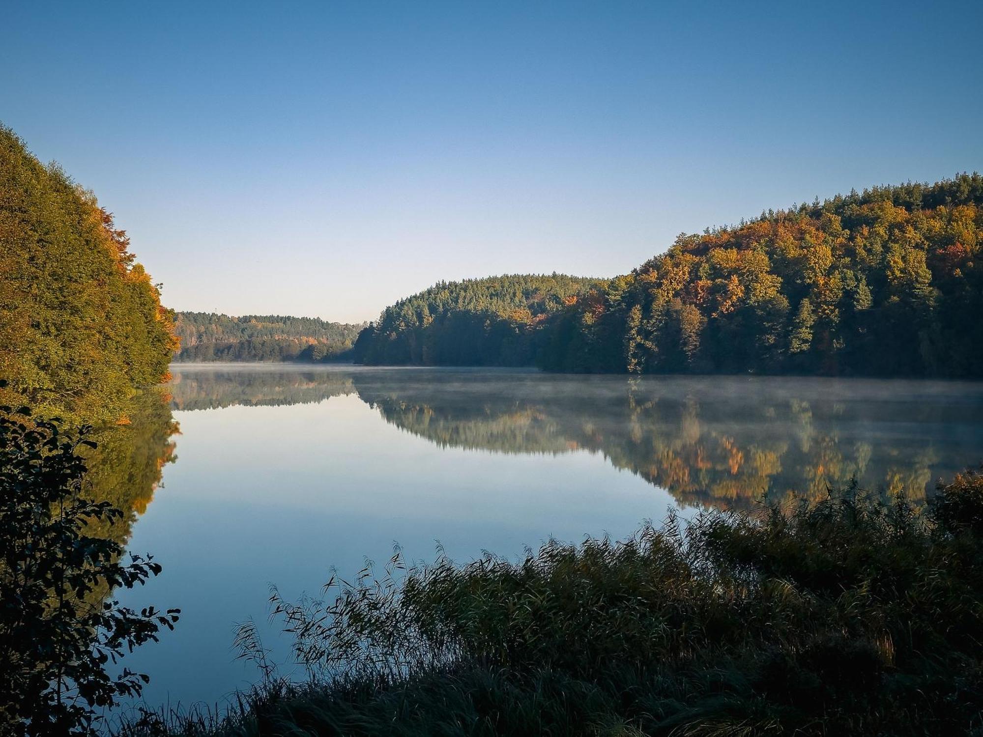 Villa Dom Pod Klonem Na Kaszubach Koscierzyna Esterno foto