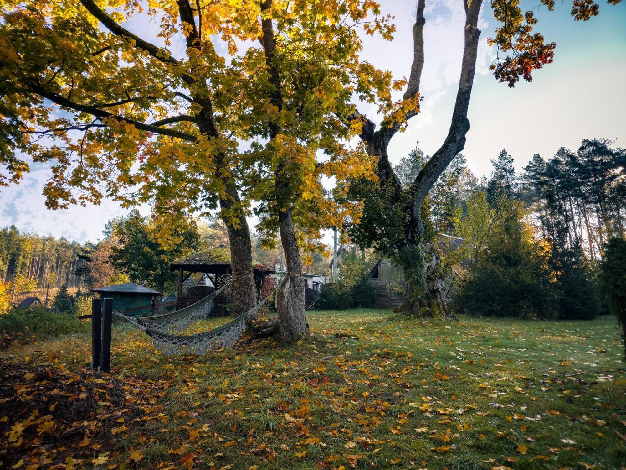 Villa Dom Pod Klonem Na Kaszubach Koscierzyna Esterno foto