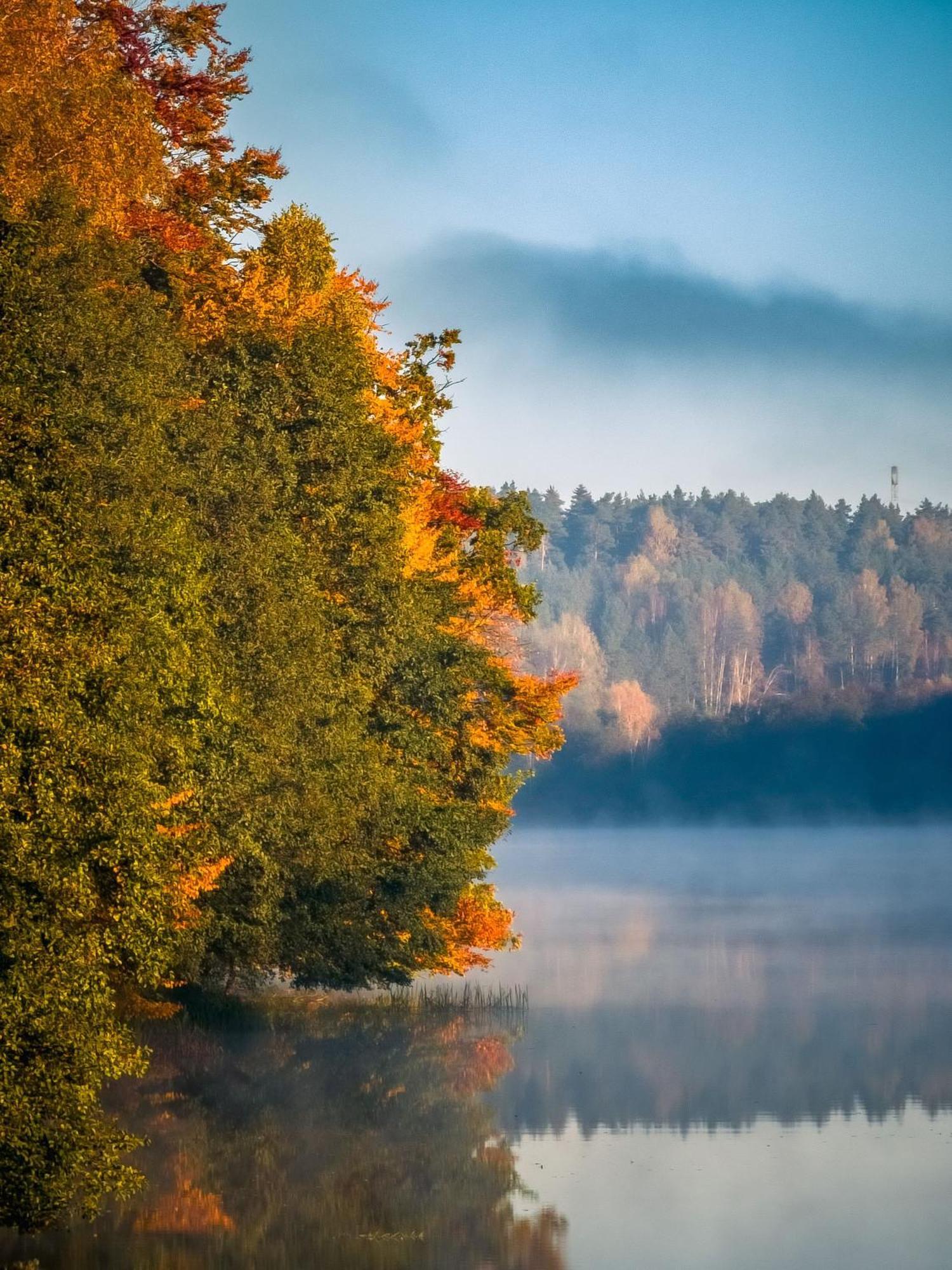 Villa Dom Pod Klonem Na Kaszubach Koscierzyna Esterno foto