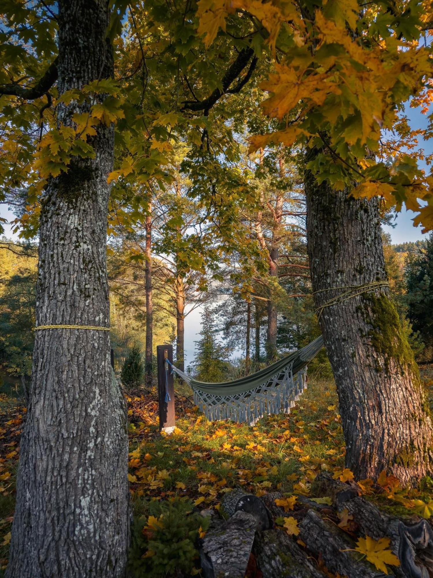 Villa Dom Pod Klonem Na Kaszubach Koscierzyna Esterno foto