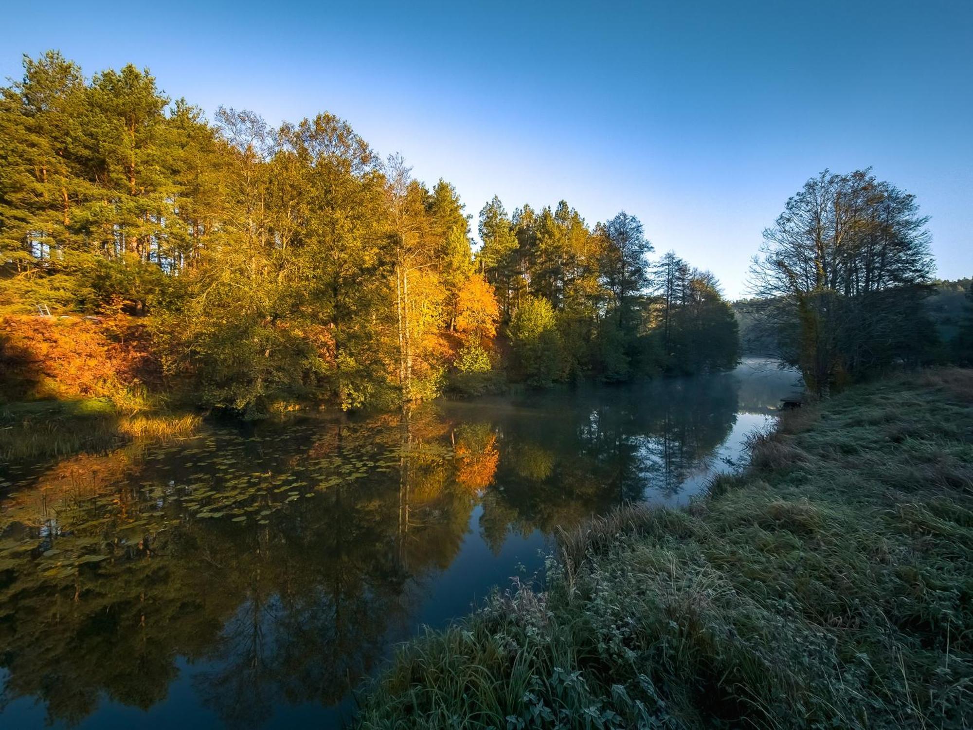 Villa Dom Pod Klonem Na Kaszubach Koscierzyna Esterno foto
