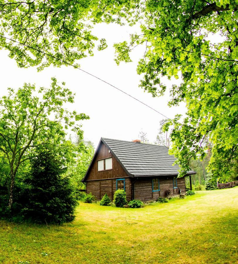 Villa Dom Pod Klonem Na Kaszubach Koscierzyna Esterno foto