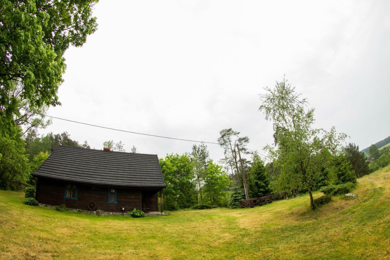 Villa Dom Pod Klonem Na Kaszubach Koscierzyna Esterno foto