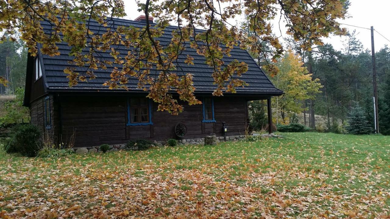 Villa Dom Pod Klonem Na Kaszubach Koscierzyna Esterno foto