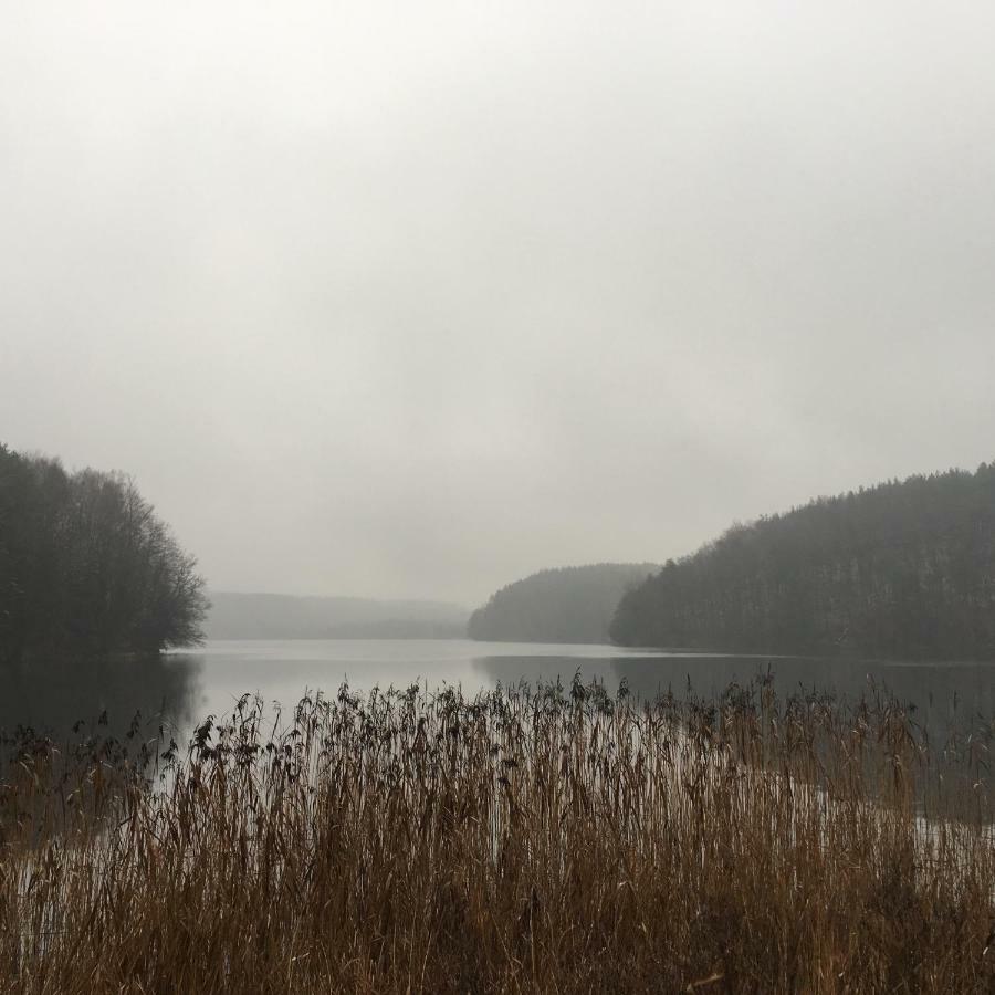 Villa Dom Pod Klonem Na Kaszubach Koscierzyna Esterno foto